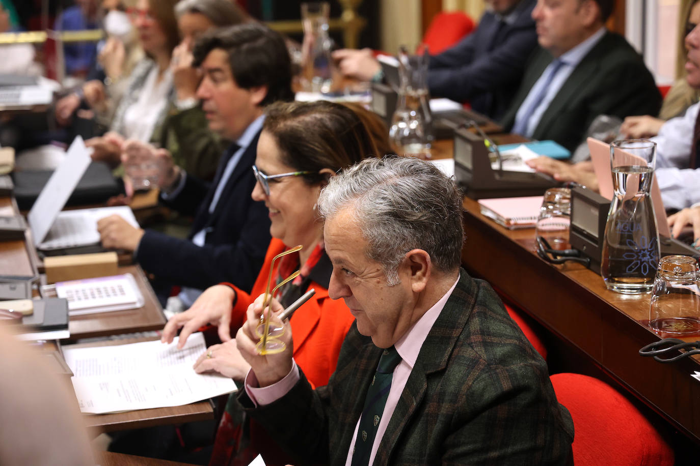 Fotos: el Pleno del Ayuntamiento de Córdoba