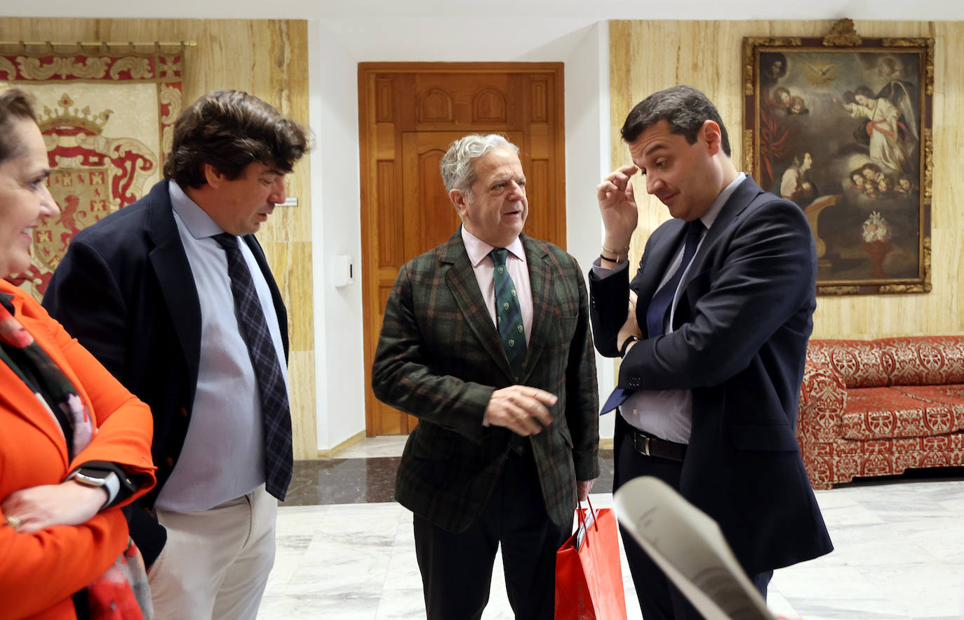 Fotos: el Pleno del Ayuntamiento de Córdoba