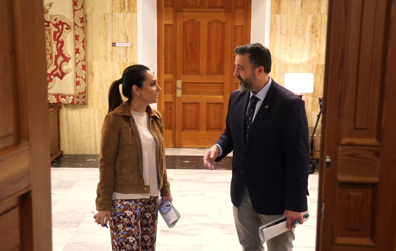 Fotos: el Pleno del Ayuntamiento de Córdoba