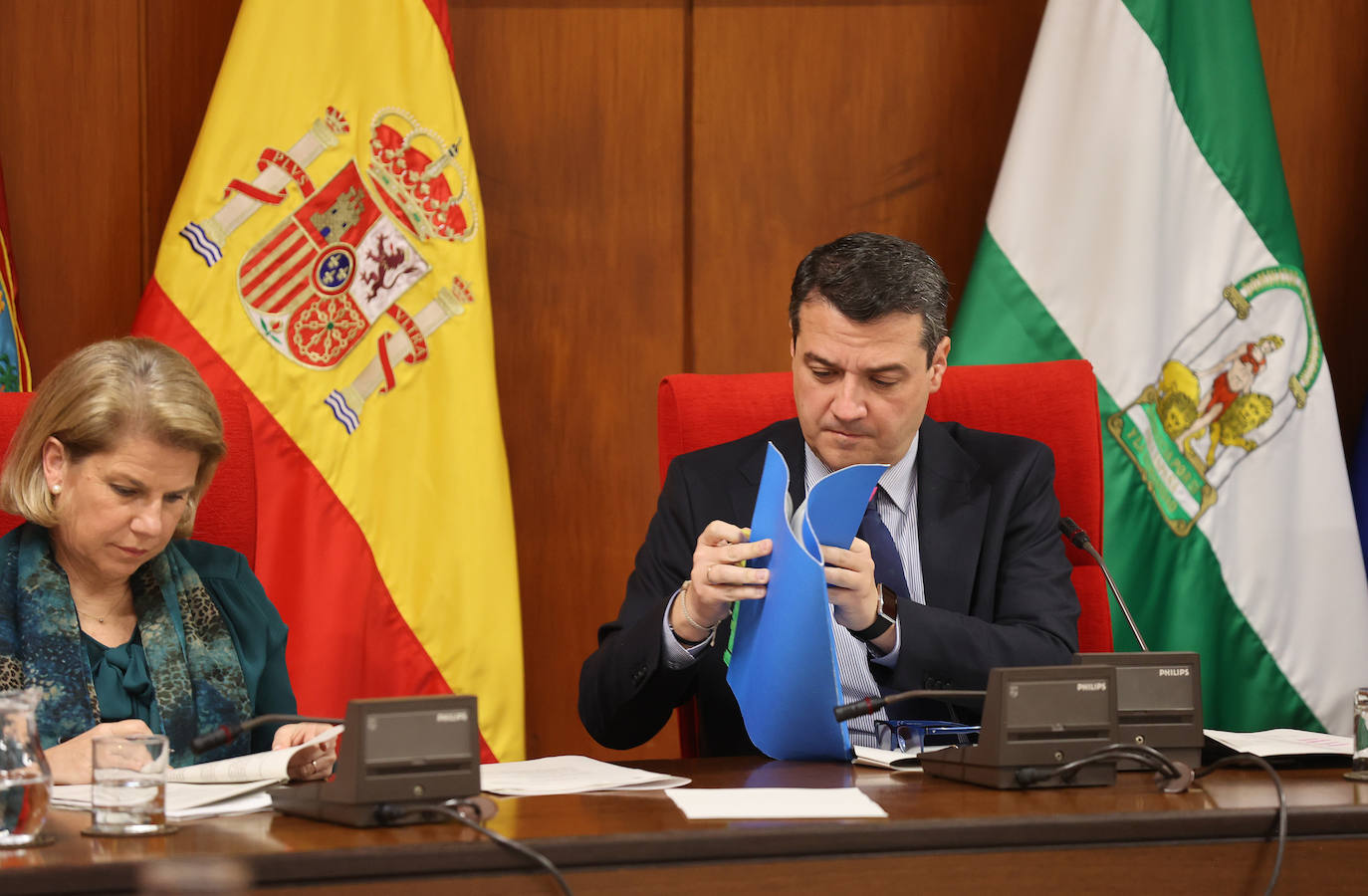 Fotos: el Pleno del Ayuntamiento de Córdoba