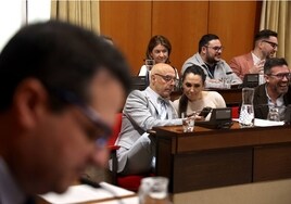 Fotos: el Pleno del Ayuntamiento de Córdoba