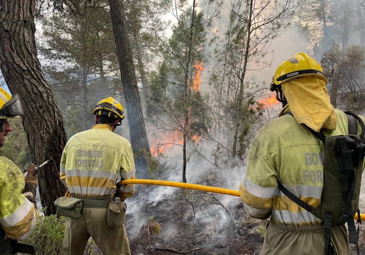 Imagen de bomberos forestales de la Comunidad Valenciana durante las labores de extinción de un incendio