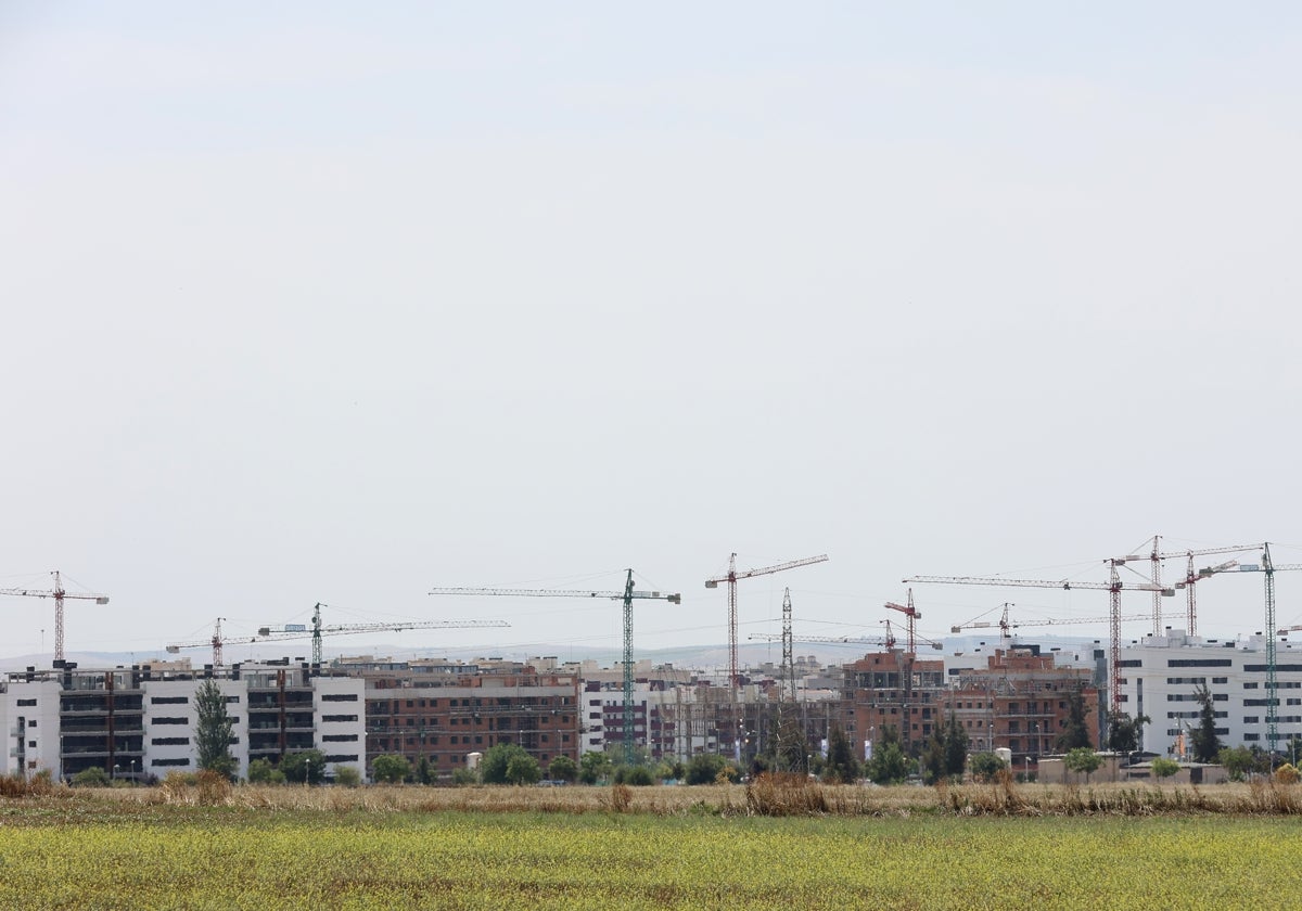 Grúas en bloques de viviendas en construcción en Huerta de Santa Isabel