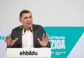 'Otegi, la última bala de ETA', el libro que desmenuza el pasado del líder de Bildu y su papel ante las elecciones vascas