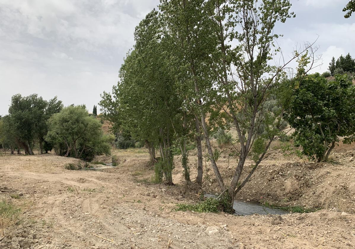 Ribera del río Cabra que se quiere restaurar