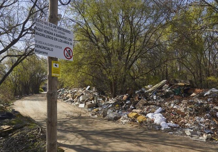 Muralla de basura en el entorno del río Jarama, a su paso por San Fernando de Henares