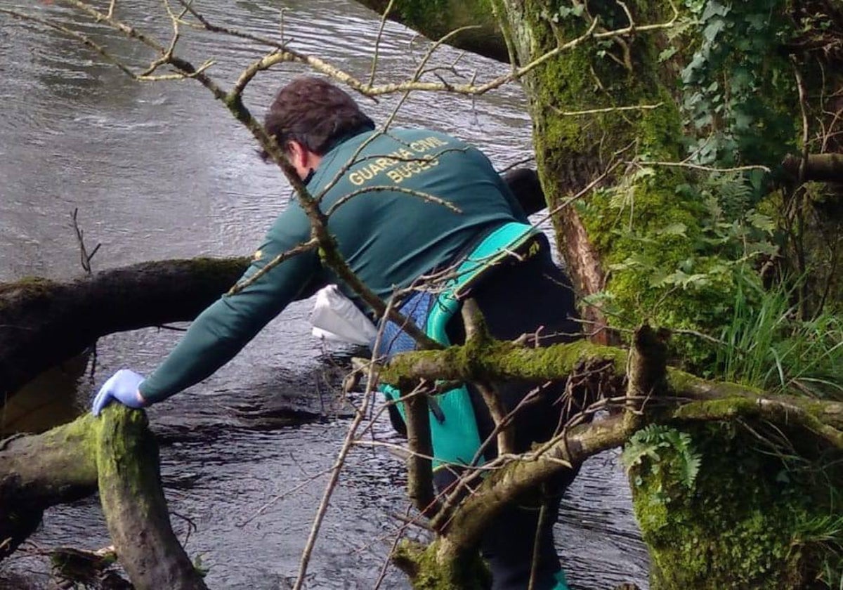 Un agente del GEAS, durante el rescate del cadáver en el río Xallas