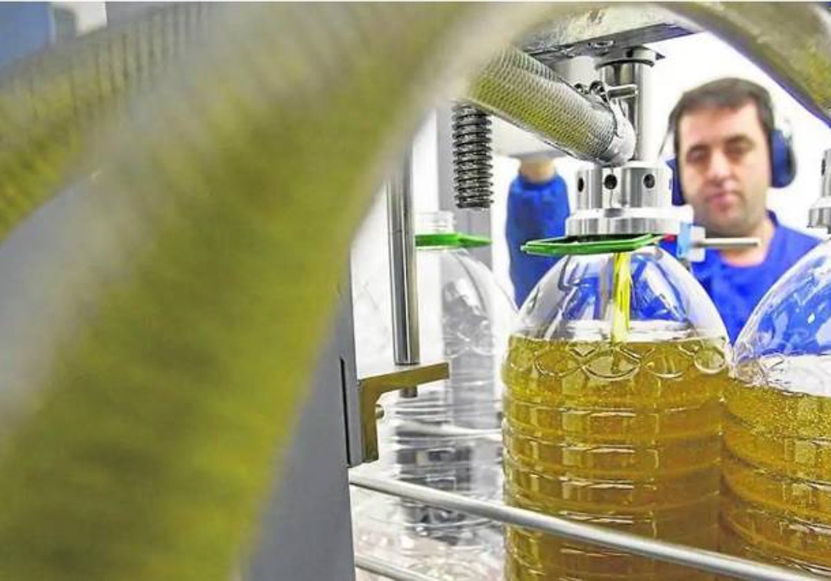 Los aceites lideraron el crecimiento en la región