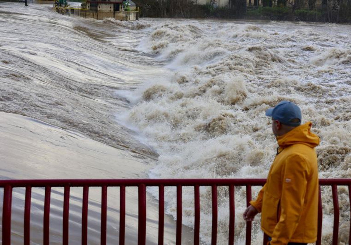 Aspecto de la última crecida del Ebro, hace dos semanas, a su paso por Logroño.