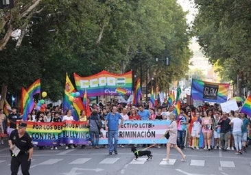 Condenan a un parcelista a seis meses de cárcel por delito de odio al insultar a senderistas con bandera LGTBI