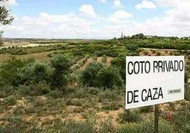 Colectivos ecologistas y deportivos denuncian ante el Defensor del Pueblo la Ley de Caza de Castilla-La Mancha