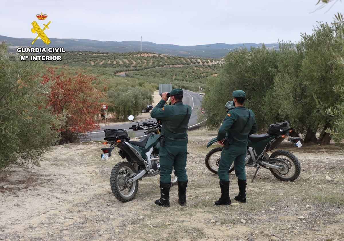 Agentes del Seprona cerca de Baena