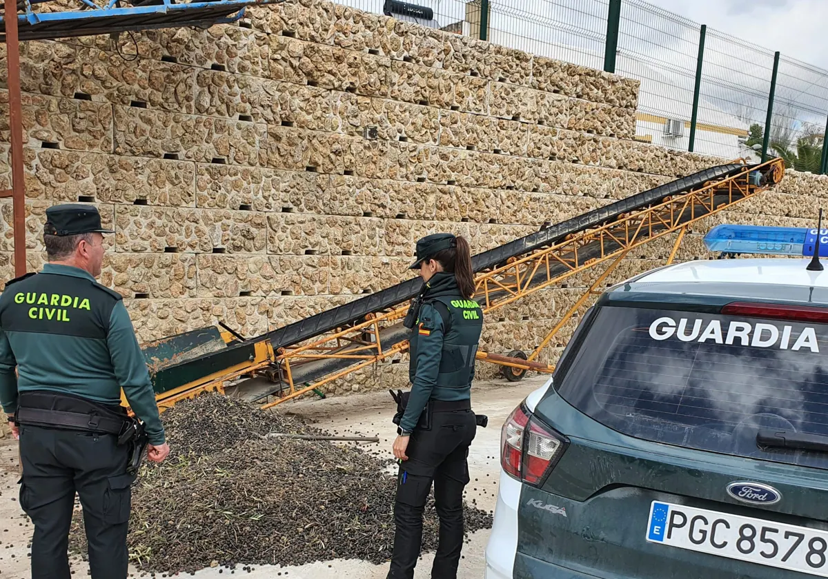 Los dos agentes de la Guardia Civil junto a la aceituna robada en Córdoba