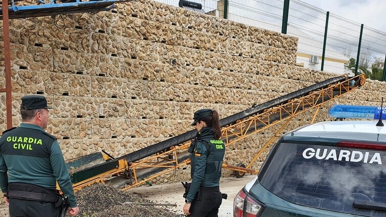 La Guardia Civil detiene a tres personas con 600 kilos de aceituna robada en una furgoneta en Espejo