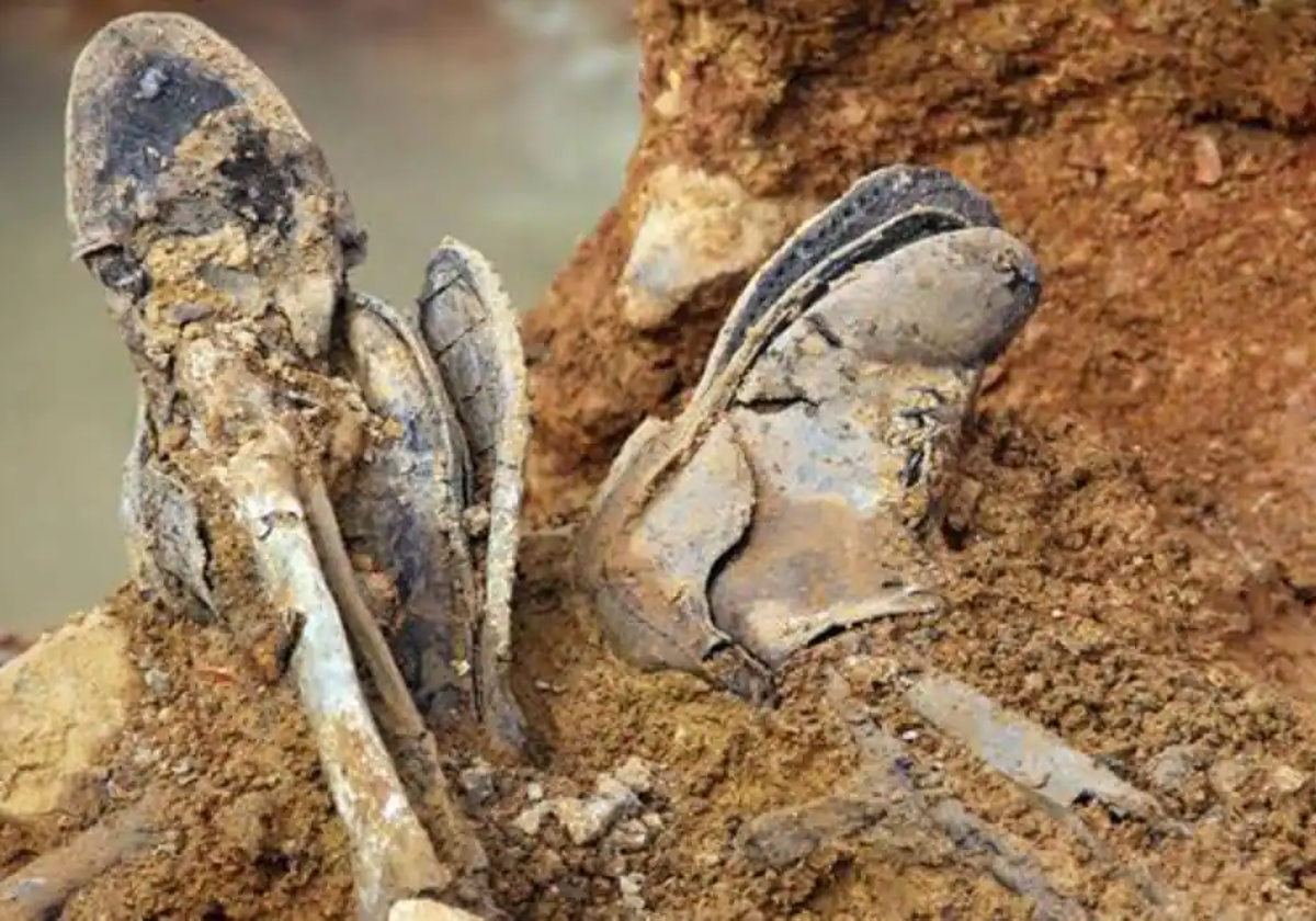 Manzanares exhumará a 89 represaliados por el franquismo de cinco fosas comunes en el cementerio a partir de mayo