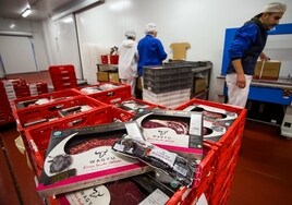 De Burgos a Europa: la carne de wagyu «más premiada» recorre el mundo