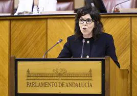 El PSOE alerta de «urgencias saturadas» y centros de salud «sin citas» en toda Andalucía durante la Semana Santa