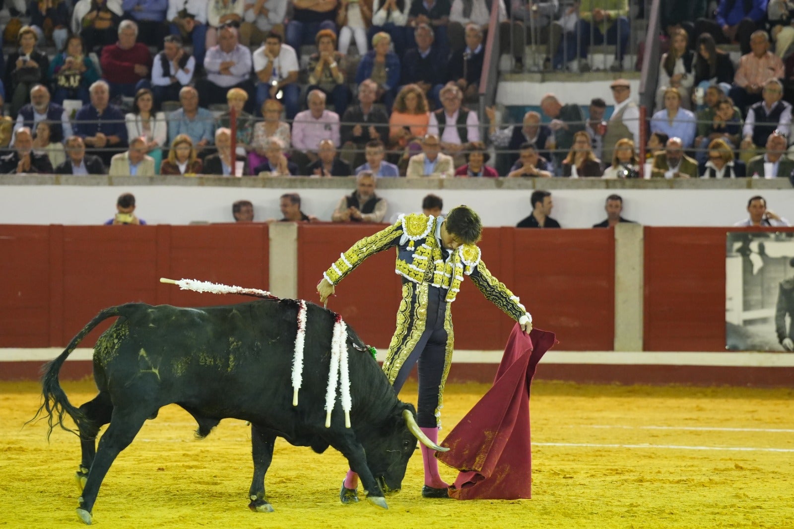 Fotos: pletórica tarde de toros en Pozoblanco con un Roca Rey superior