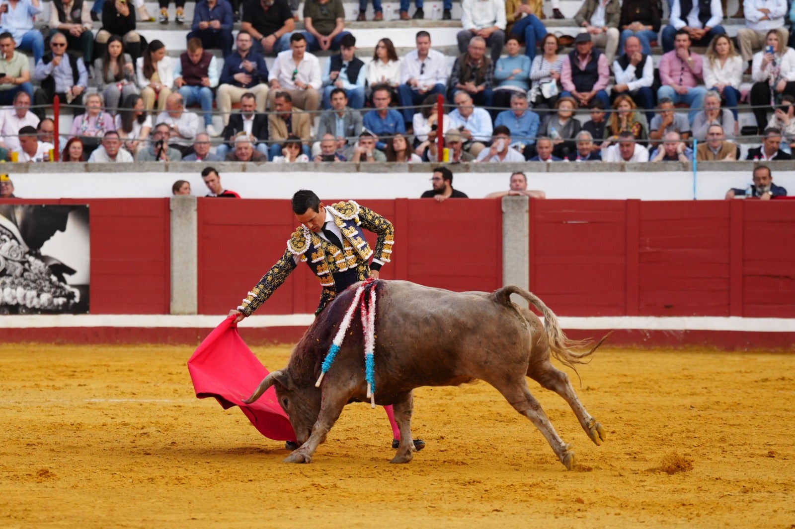 Fotos: pletórica tarde de toros en Pozoblanco con un Roca Rey superior