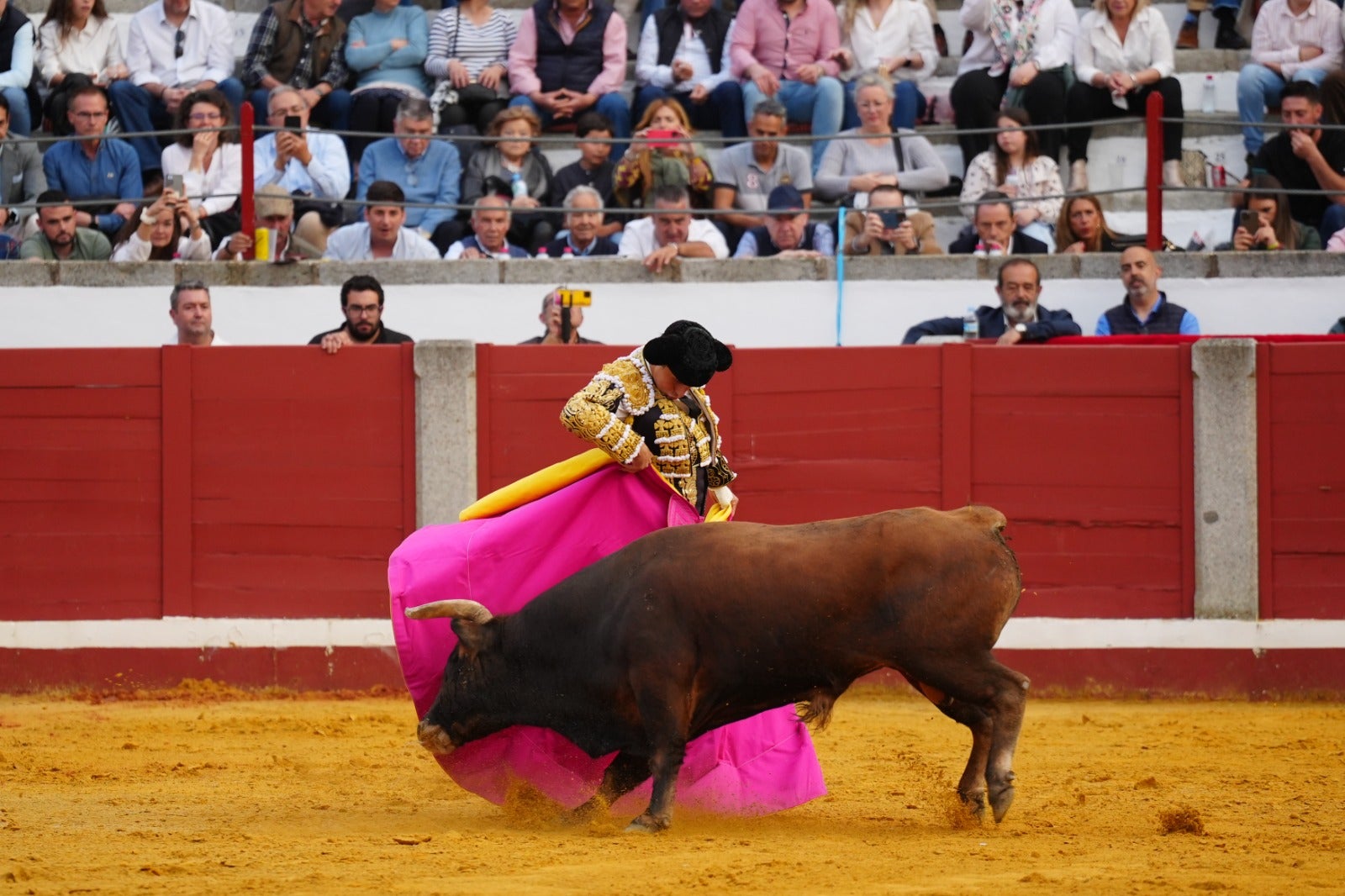 Fotos: pletórica tarde de toros en Pozoblanco con un Roca Rey superior