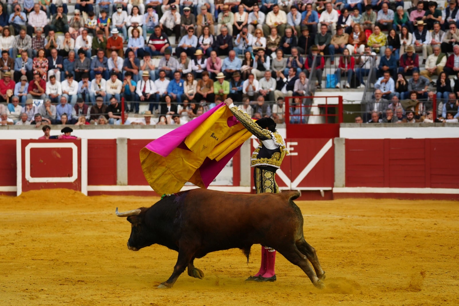 Fotos: pletórica tarde de toros en Pozoblanco con un Roca Rey superior