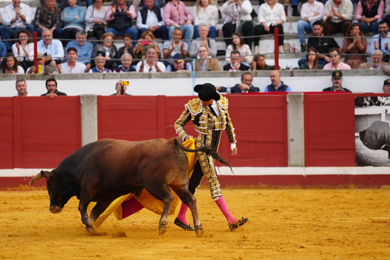 Fotos: pletórica tarde de toros en Pozoblanco con un Roca Rey superior