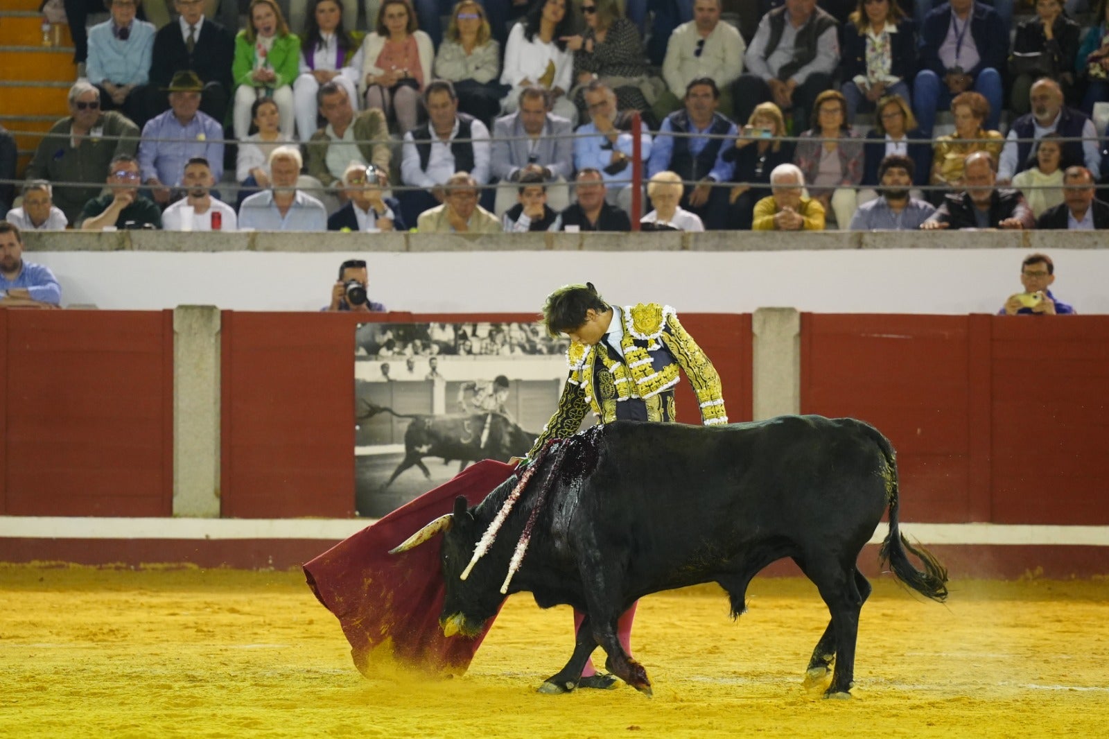 Fotos: pletórica tarde de toros en Pozoblanco con un Roca Rey superior