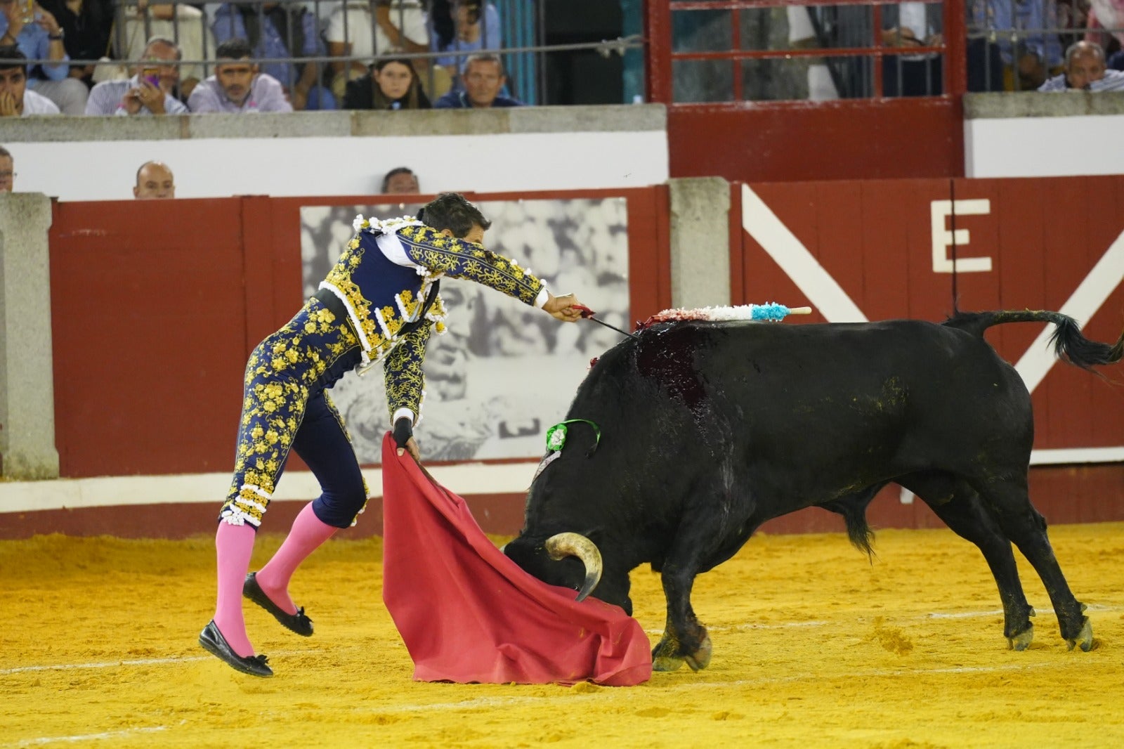 Fotos: pletórica tarde de toros en Pozoblanco con un Roca Rey superior
