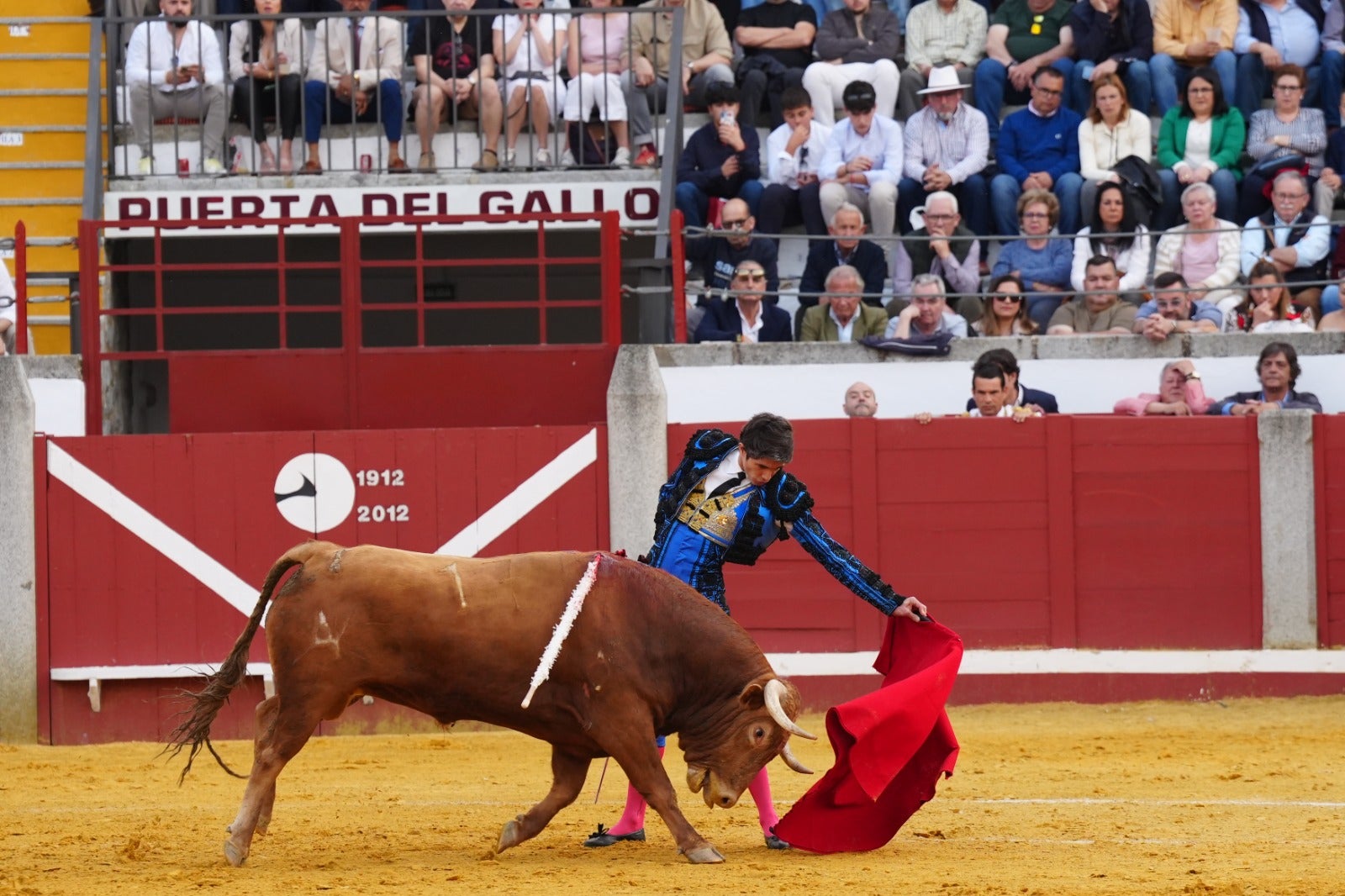 Fotos: pletórica tarde de toros en Pozoblanco con un Roca Rey superior