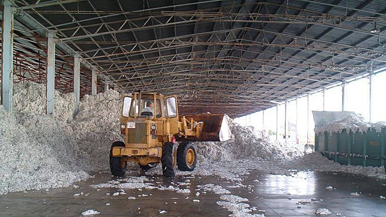 Interior de una algodonera en la provincia de Córdoba