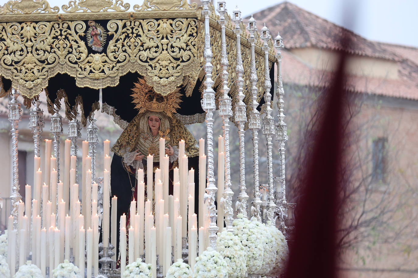 Las imágenes de la hermandad de la Vera-Cruz de la Semana Santa de Córdoba 2024