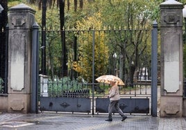 El Ayuntamiento de Córdoba ordena cerrar los parques por el aviso de fuertes vientos previstos para esta tarde