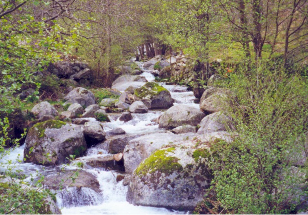 Paraje de El Arenal