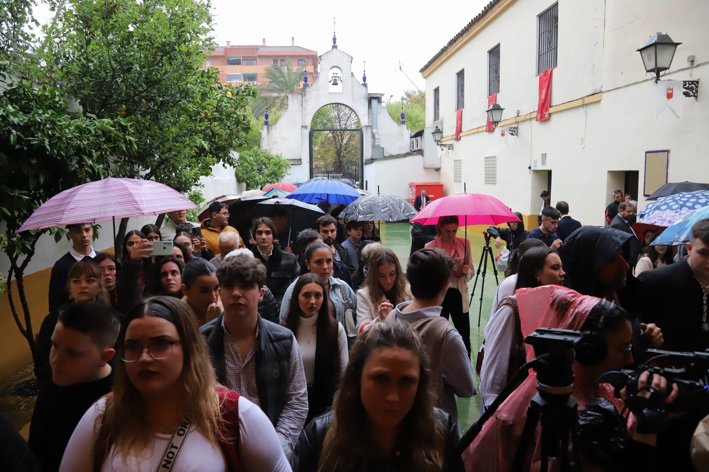 Las imágenes de la hermandad de la Merced de la Semana Santa de Córdoba 2024
