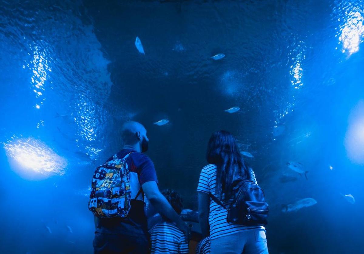 Imagen de una familia en el tunel de los tiburones del Oceanogràfic de Valencia