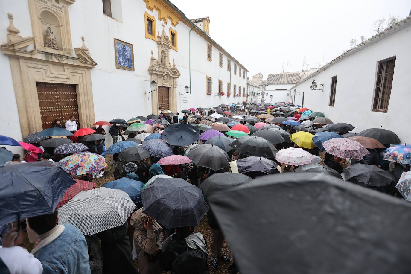 Las imágenes de la hermandad de la Paz de la Semana Santa de Córdoba 2024