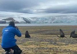 El Oceanogràfic de Valencia participa en una investigación científica en la Antártida sobre la adaptación de los mamíferos marinos al cambio climático