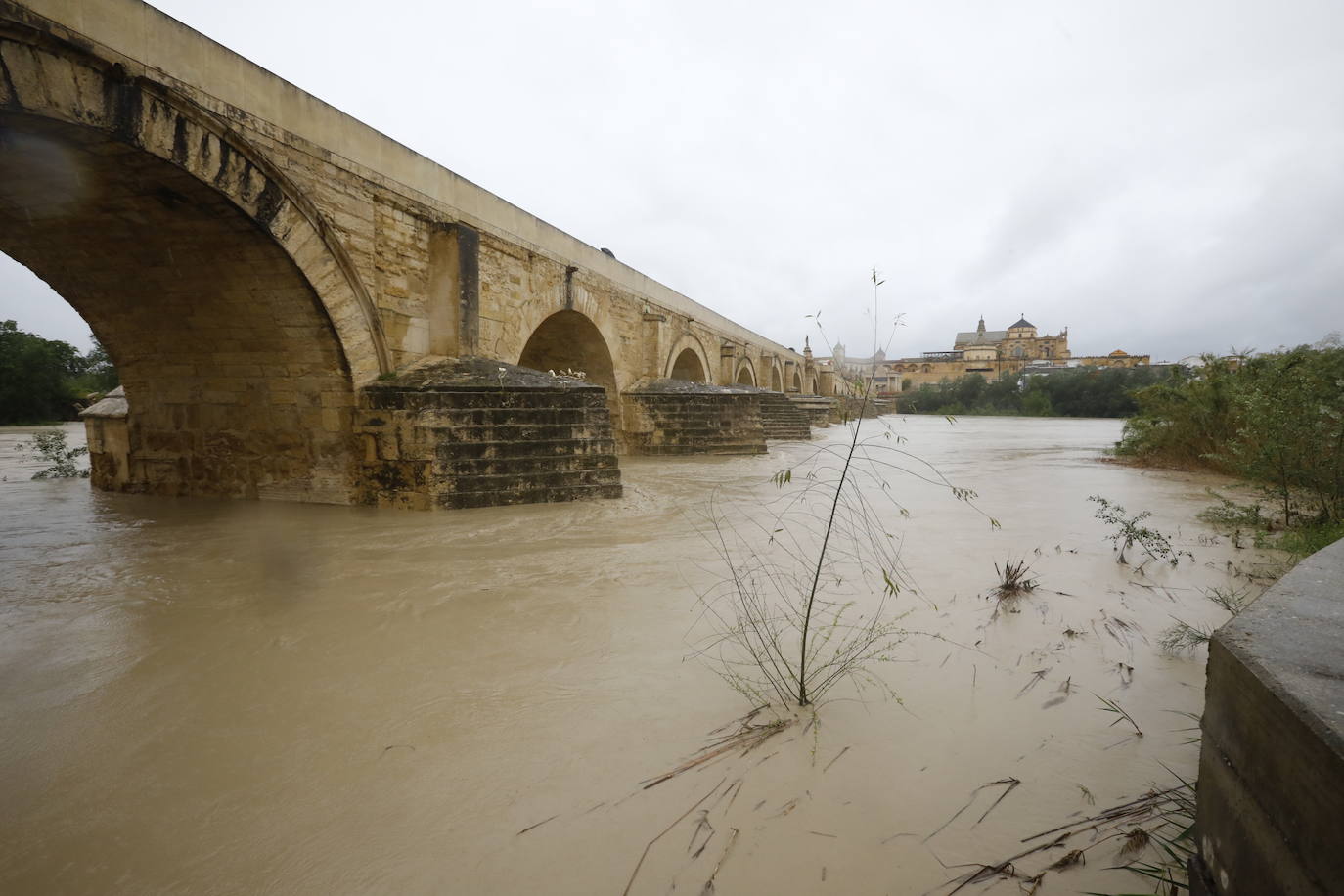 Fotos: la gran crecida del Guadalquivir a su paso por Córdoba