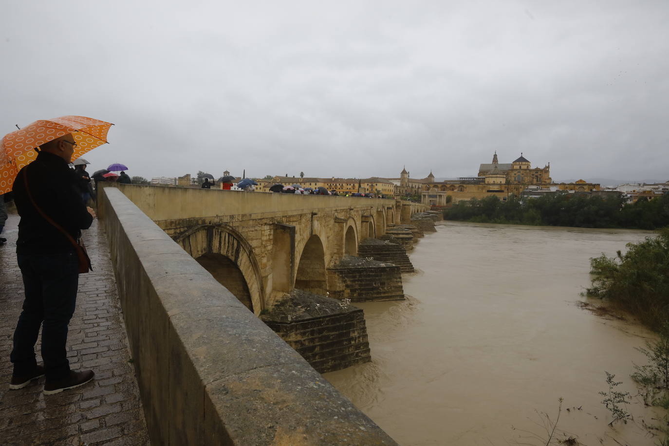Fotos: la gran crecida del Guadalquivir a su paso por Córdoba