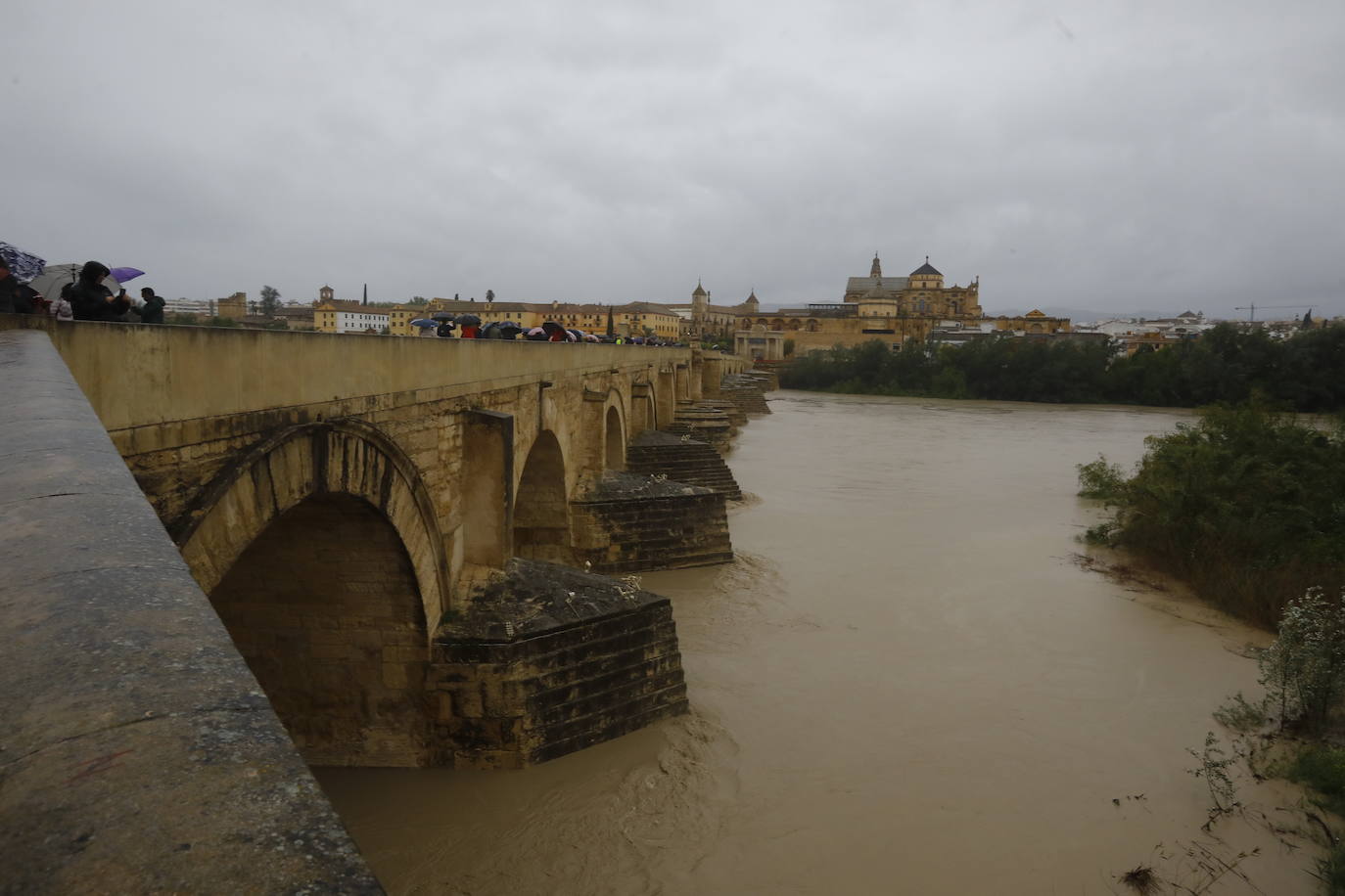 Fotos: la gran crecida del Guadalquivir a su paso por Córdoba