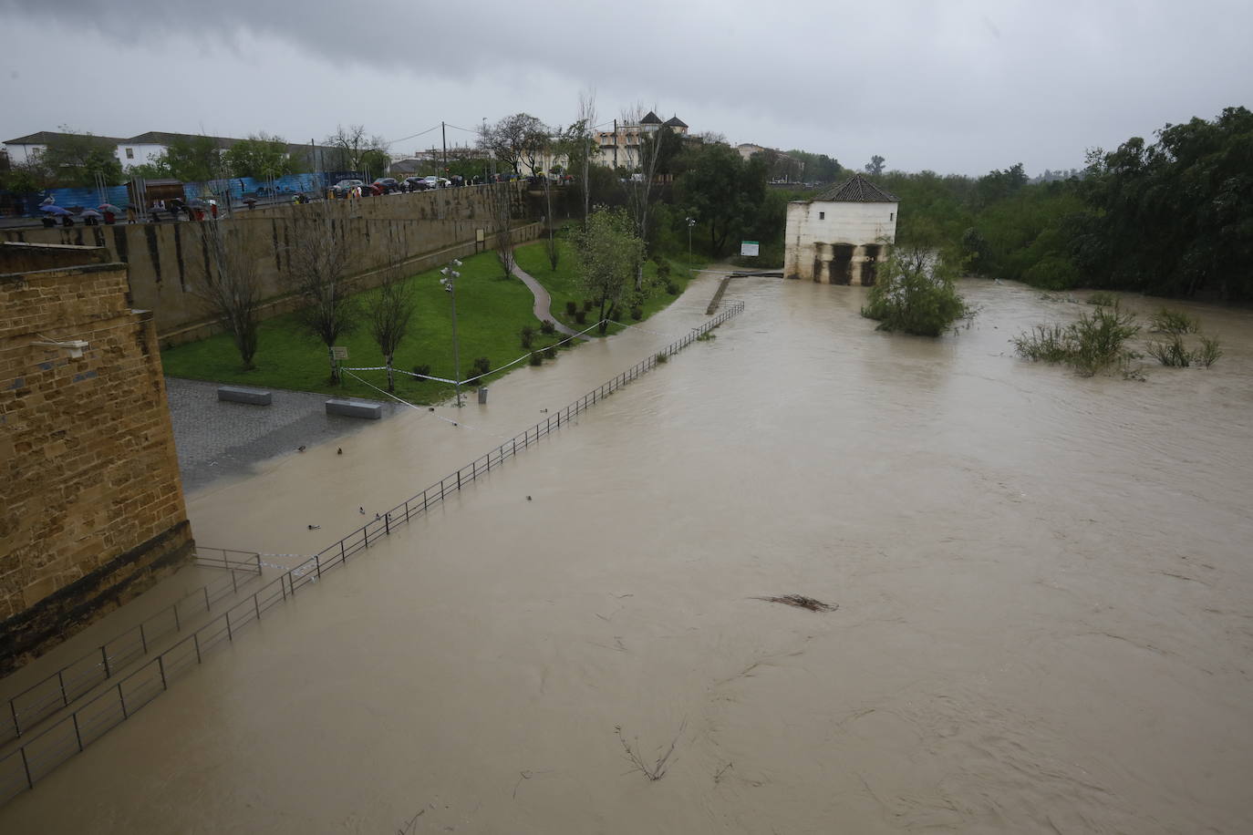 Fotos: la gran crecida del Guadalquivir a su paso por Córdoba
