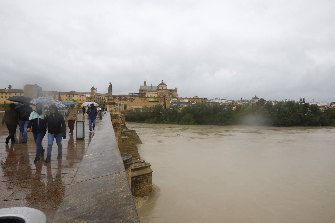 Fotos: la gran crecida del Guadalquivir a su paso por Córdoba