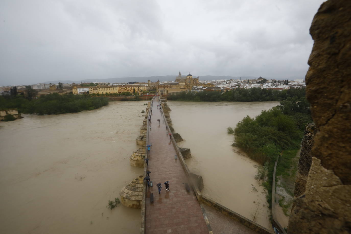 Fotos: la gran crecida del Guadalquivir a su paso por Córdoba