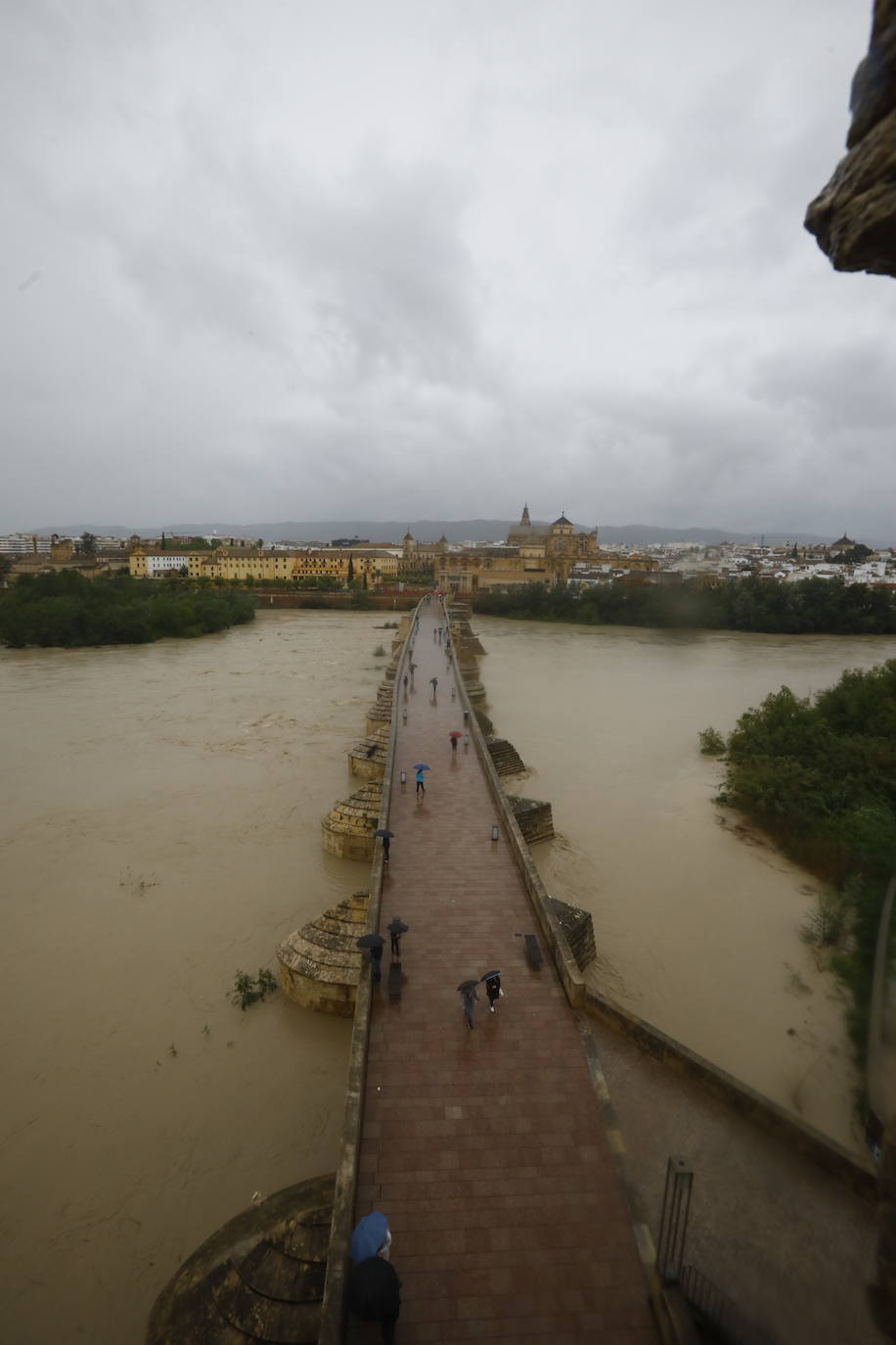 Fotos: la gran crecida del Guadalquivir a su paso por Córdoba