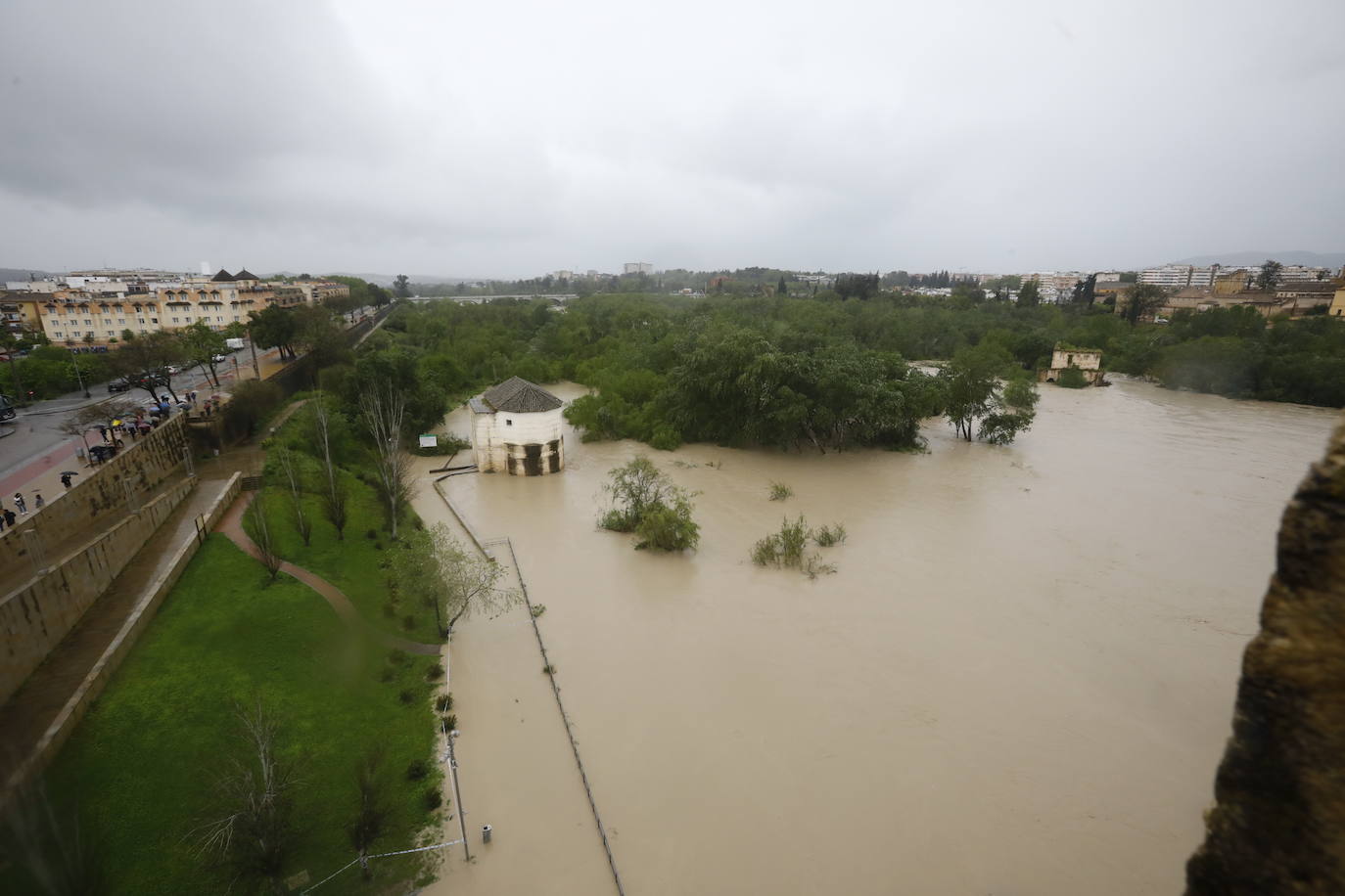 Fotos: la gran crecida del Guadalquivir a su paso por Córdoba