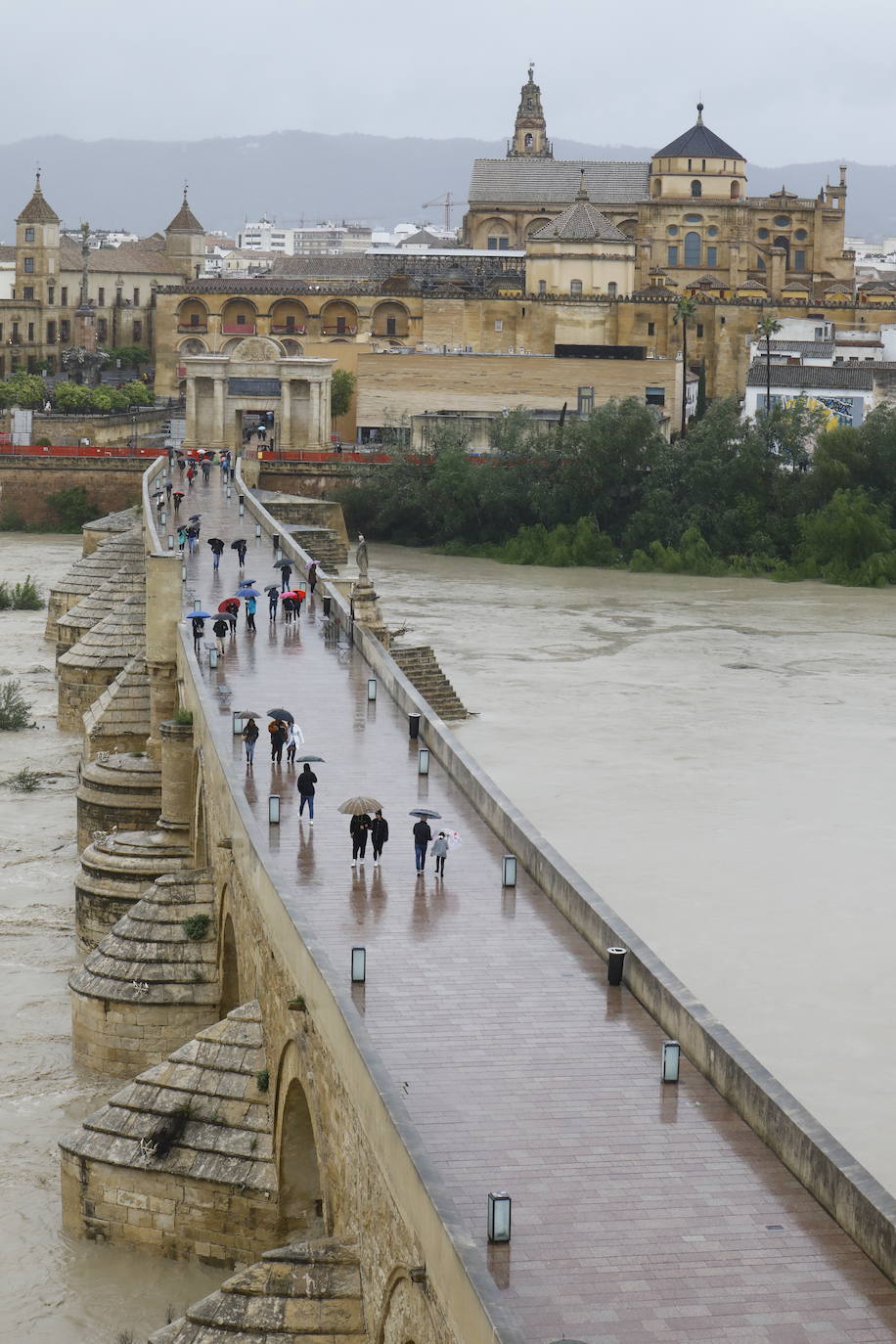 Fotos: la gran crecida del Guadalquivir a su paso por Córdoba