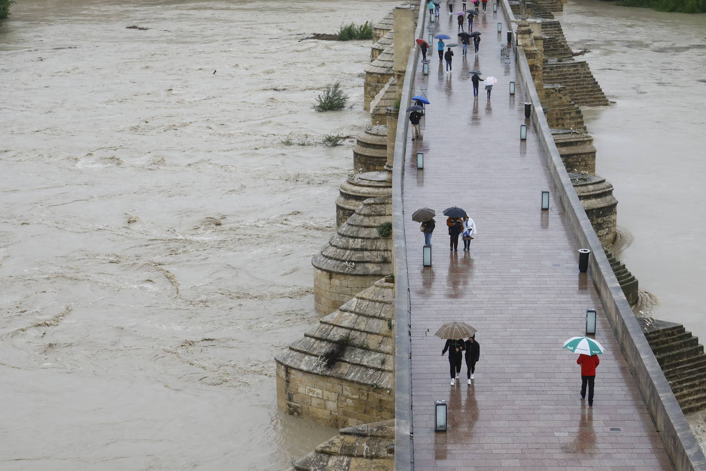 Fotos: la gran crecida del Guadalquivir a su paso por Córdoba