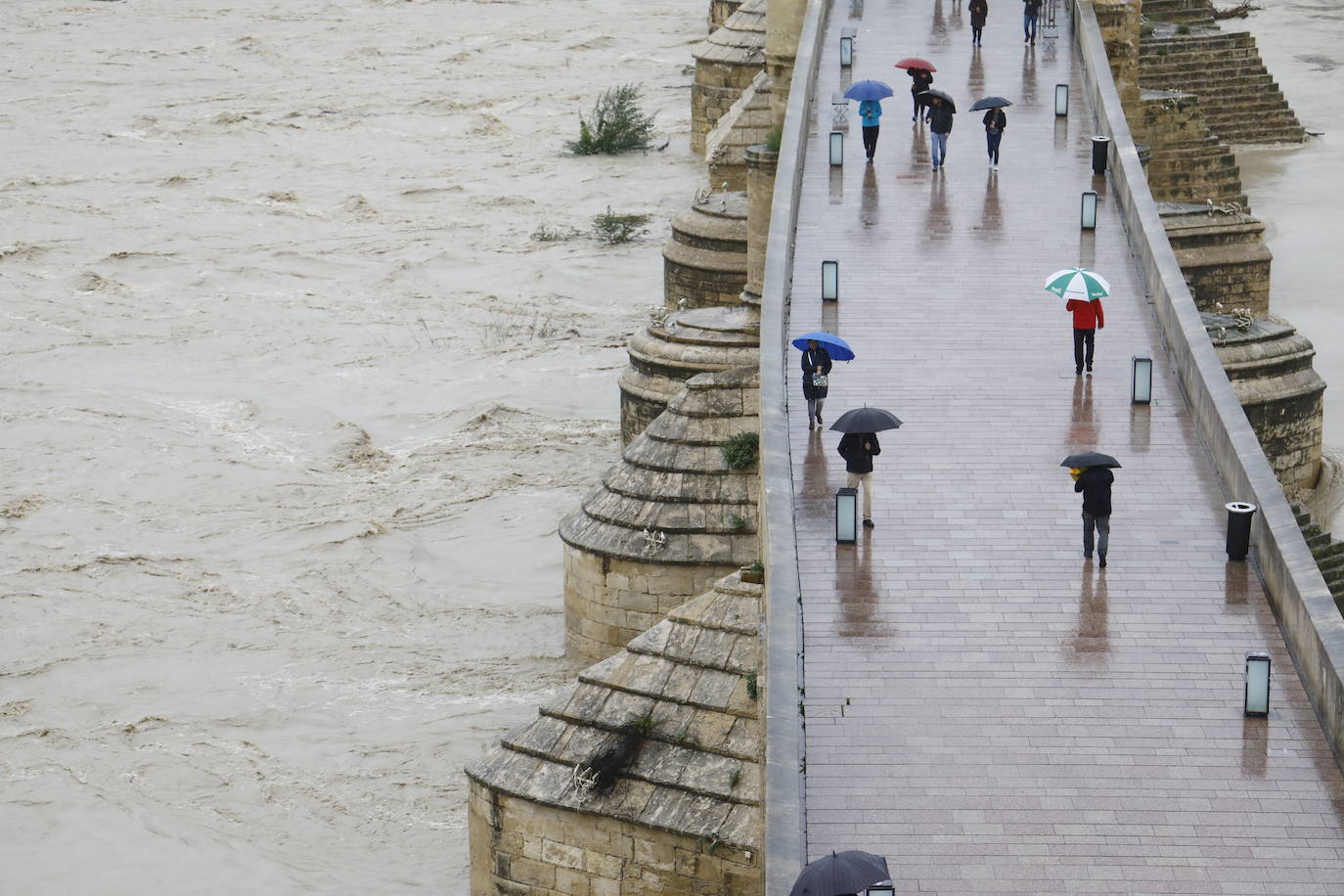 Fotos: la gran crecida del Guadalquivir a su paso por Córdoba