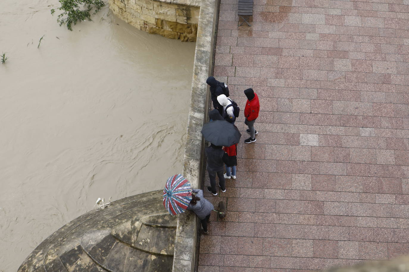 Fotos: la gran crecida del Guadalquivir a su paso por Córdoba