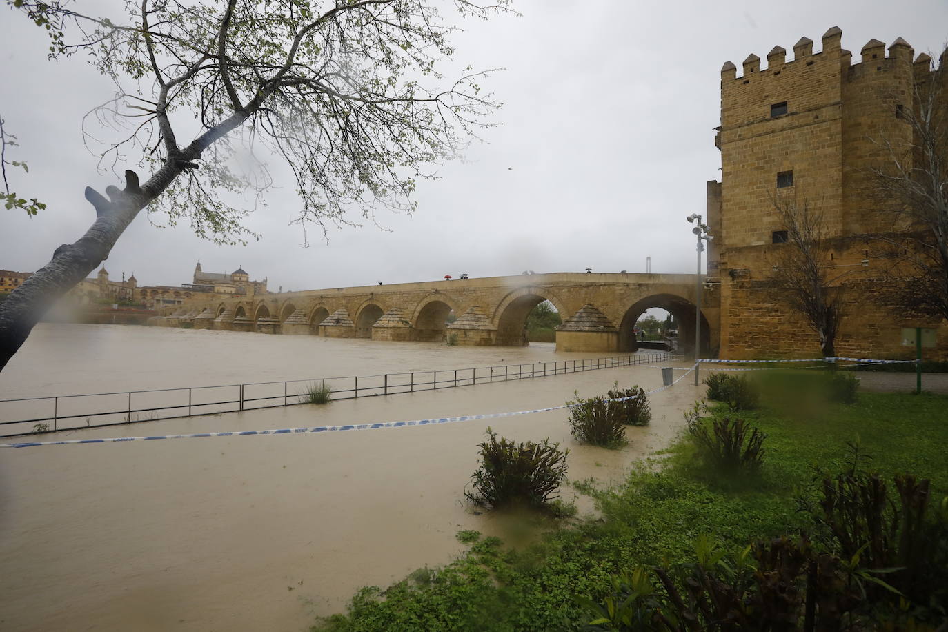 Fotos: la gran crecida del Guadalquivir a su paso por Córdoba